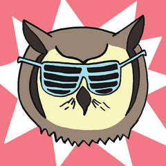 The Flyover Fest Owl | Radio Waves