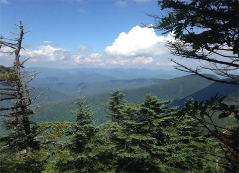 Catskill Mountains, Radio Waves blog by Two Dollar Radio