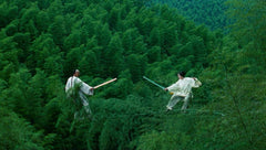 Crouching Tiger, Hidden Dragon, Radio Waves blog