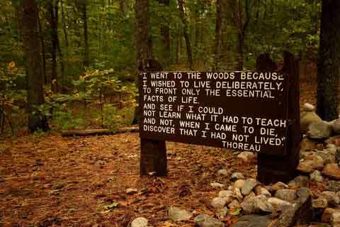 Radio Waves blog Thoreau's woods sign