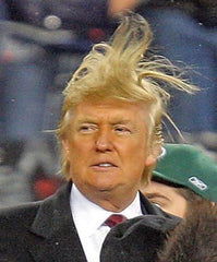 Trump Hair | Radio Waves