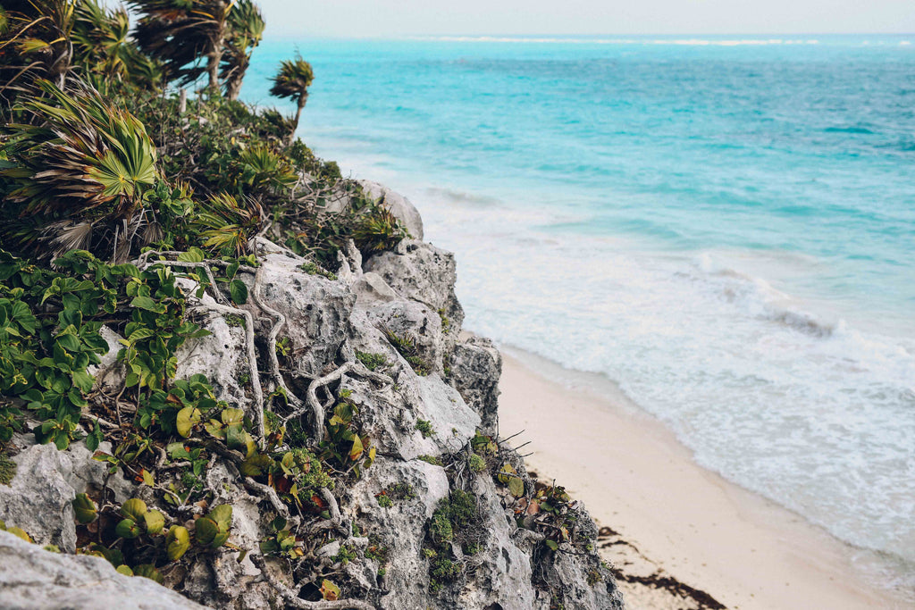 Cliff, ocean, blue, sand, beach, wind, mayan, ancient, civilization, explore, tour, caribbean, plant, greenery, inspiration, vines, mangrove