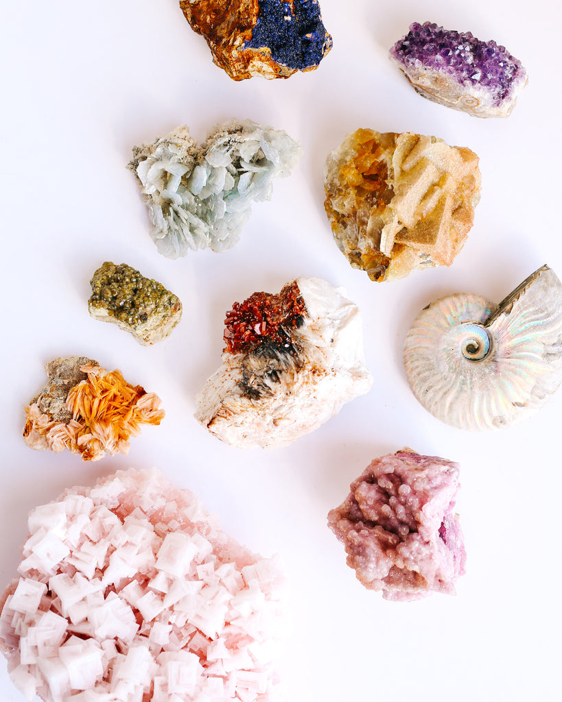 Collection, ammomite, fluorite, minerals, collector, fossilized