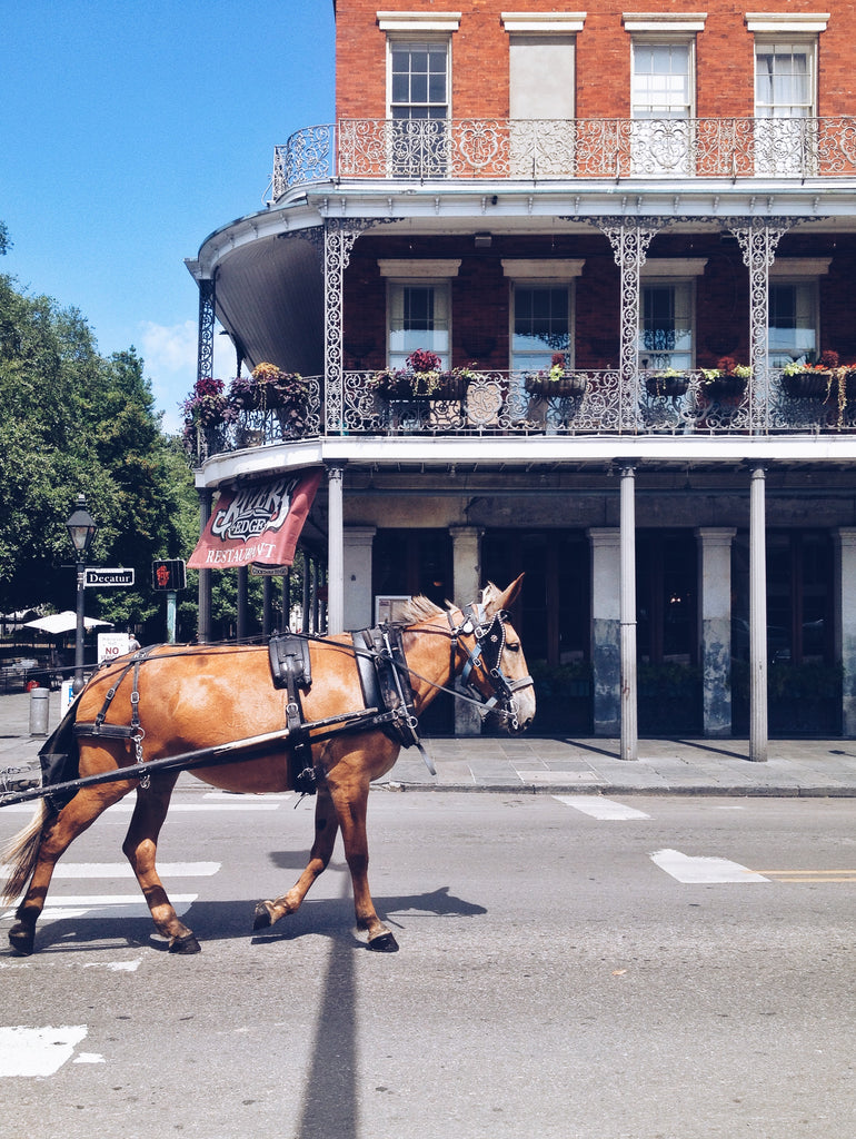 New Orleans, French quarter