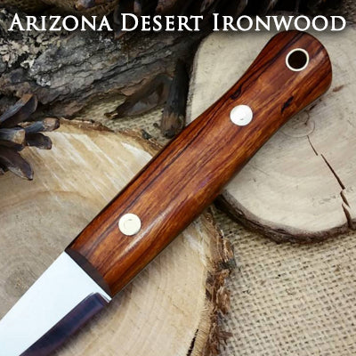 arizona desert ironwood