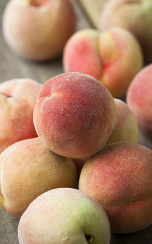  A peach biodynamically farmed at Tablehurst Farm Credit: Jonathan Buckley 