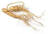 Panax Ginseng