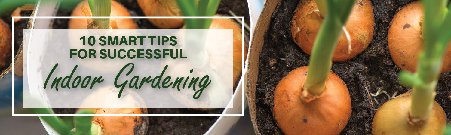 10 Smart Tips for Succeddful Indoor Gardening