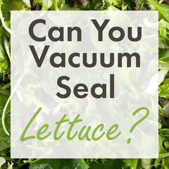 can you vacuum seal lettuce?