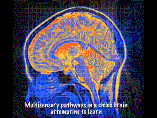 Multi-sensory Brain mapping