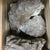 象皮石象皮石(龙皮石)- ALA