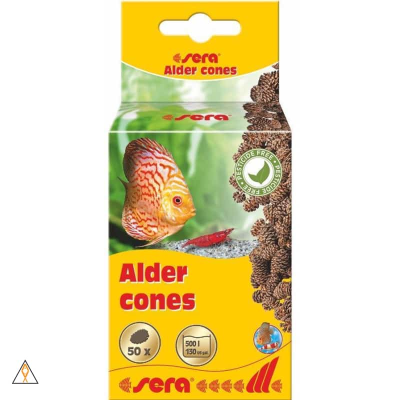 Botanicals Alder Cones - Sera