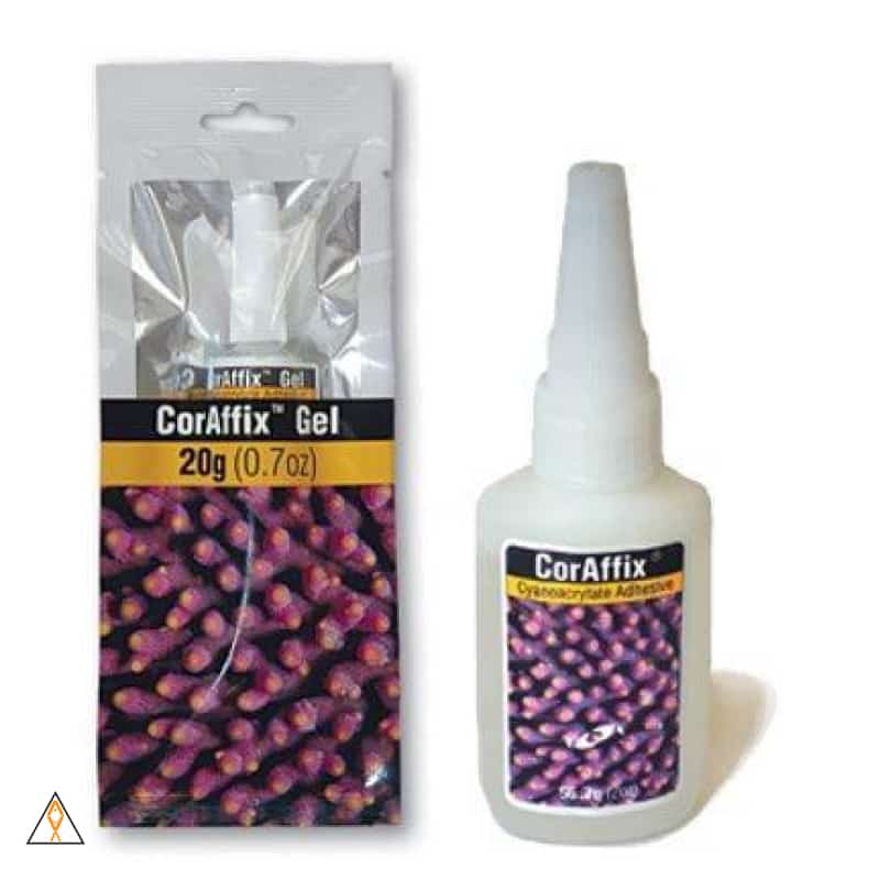 CorAffix氰基丙烯酸盐珊瑚粘合剂-两个小鱼
