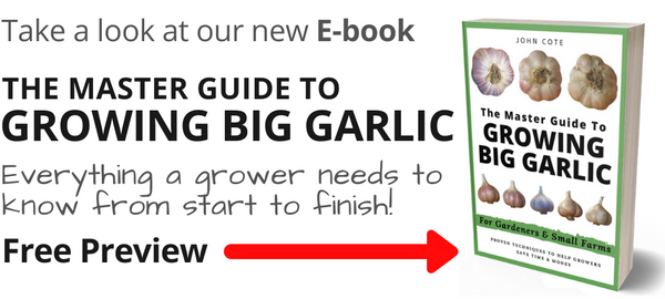 Master guide to growing big garlic ebook