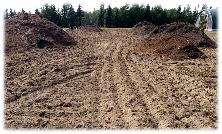 Piles of compost in garlic field