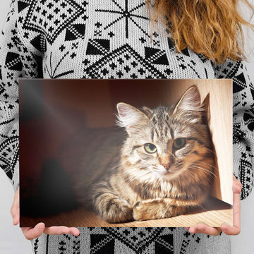 A girl holding a metal poster print of her cat photo she has made using our 'Create-Your-Own' photo upload service. 