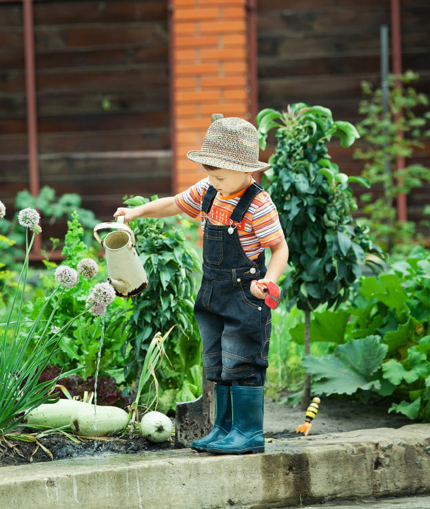 Young child wearing rain boots and overalls watering a garden with a watering can