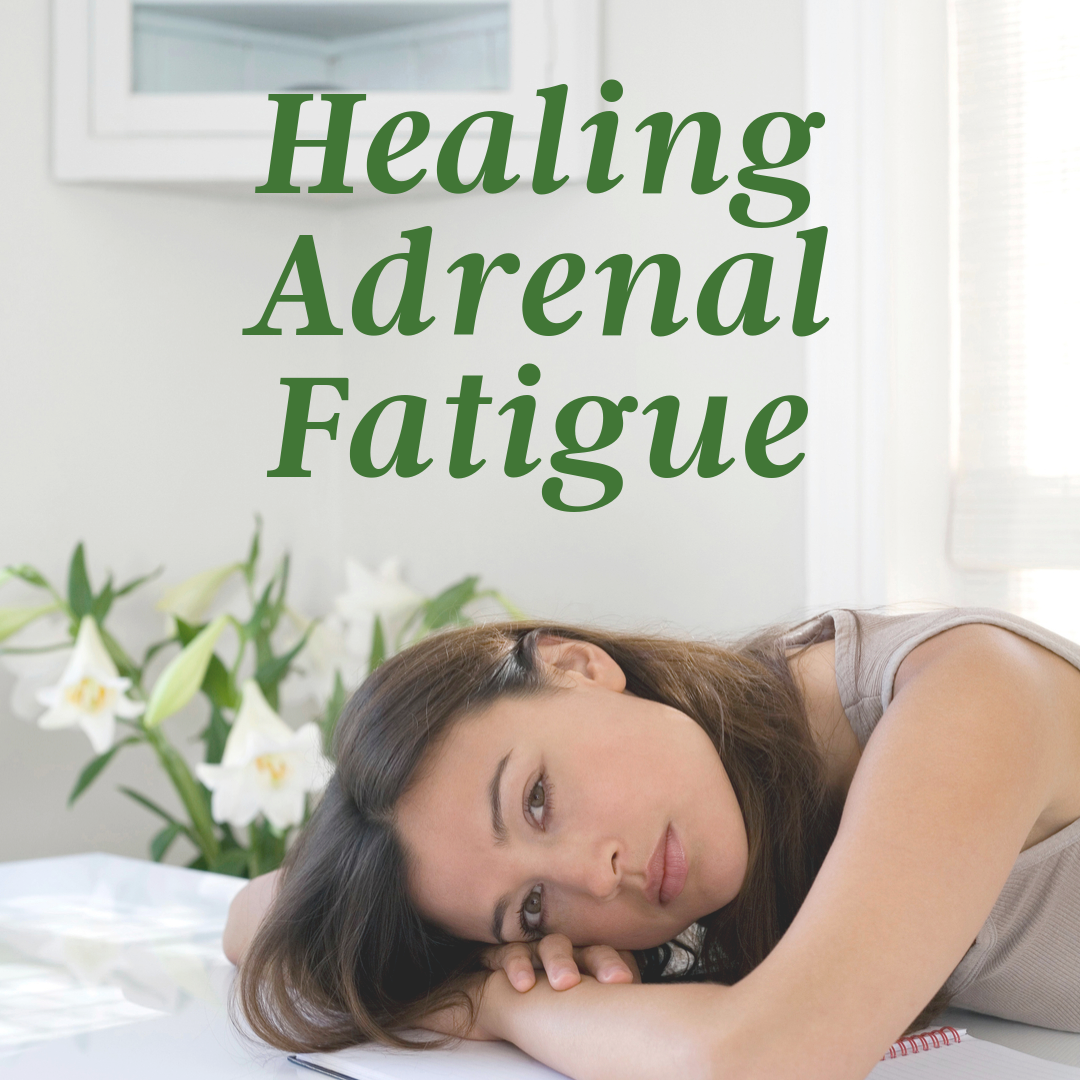Healing Adrenal Fatigue – Vickie Sorensens Nature Works