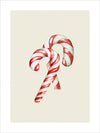 The Candy Cane II