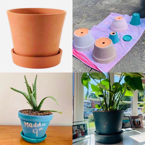 Plant pot painting ideas