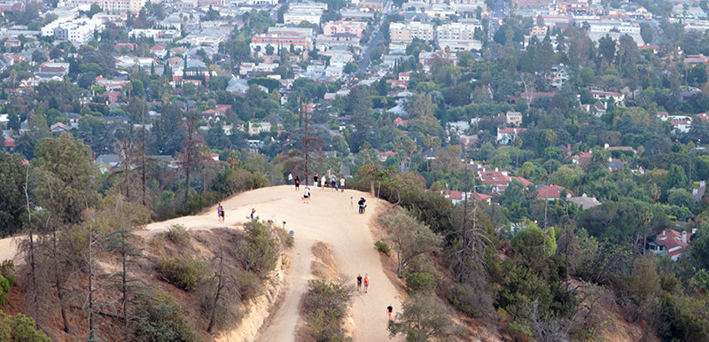 view of Observatory Loop Trail in Griffith Park Los Angeles