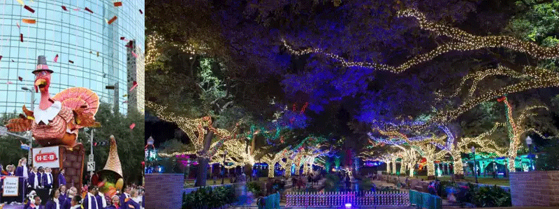 photo of oak trees with holiday lights in Houston