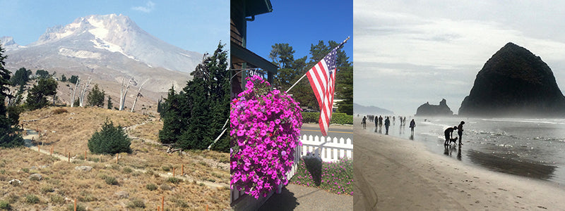 views of Mt St. Helens and Cannon Beach in Oregon