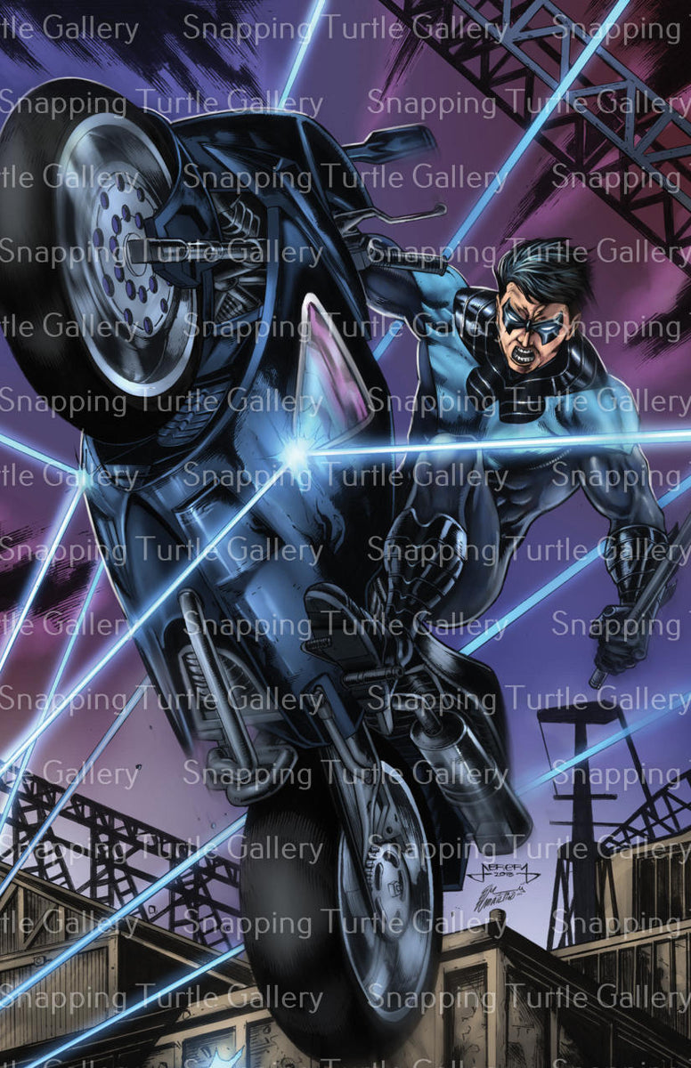 Nightwing On Motorcycle Batman Snapping Turtle Gallery 9660