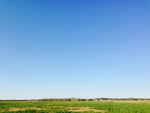 Blue skies, green grass and dry spots