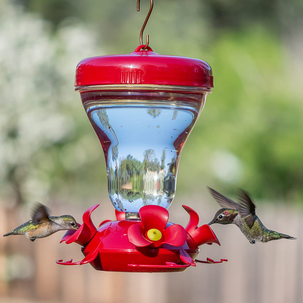 bottom fill hummingbird feeder