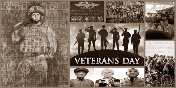 Veterans Day 2015