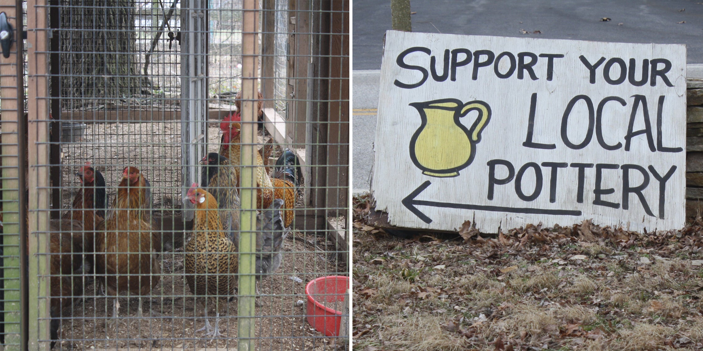 Chickens at Greenbridge Pottery Studio