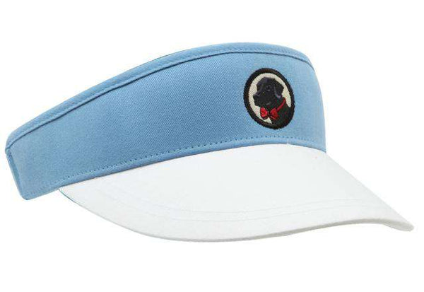 baby blue visor