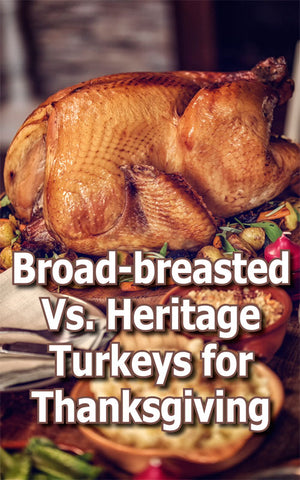 heritage turkey vs commercial turkey