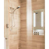 Electric Mirror Acclaim LED Lighed Fog Free Shower Mirror will Transform Your Shower Experience