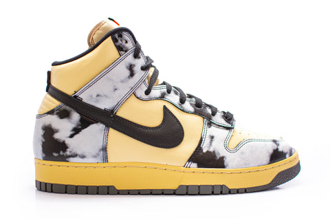 Nike Dunk Low Pro SB Concord