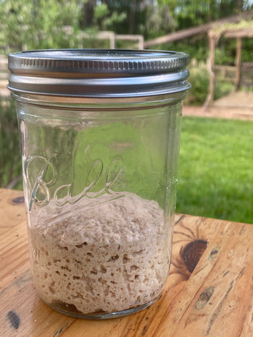 Einkorn Sourdough Starter