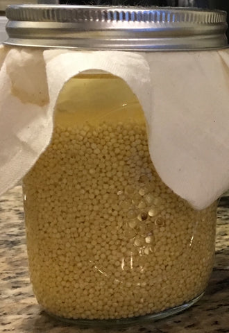Fermented Millet - Simple and Delicious