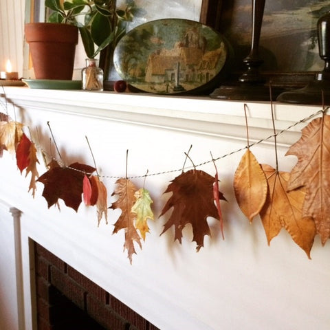 DIPPED BEESWAX LEAVES FOR YOUR AUTUMN DECOR - Farmers Daughter Mercantile