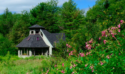 The Willow House Classroom