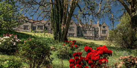 Bovey Castle Afternoon Tea