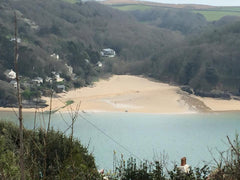 Picnic spot near Salcombe