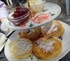 Tudor Rose Cream Tea Plymouth