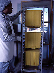 Pappardelle's Flat-Cut Pasta Hanging