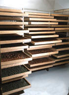 Pappardelle's Short Cut Drying Racks