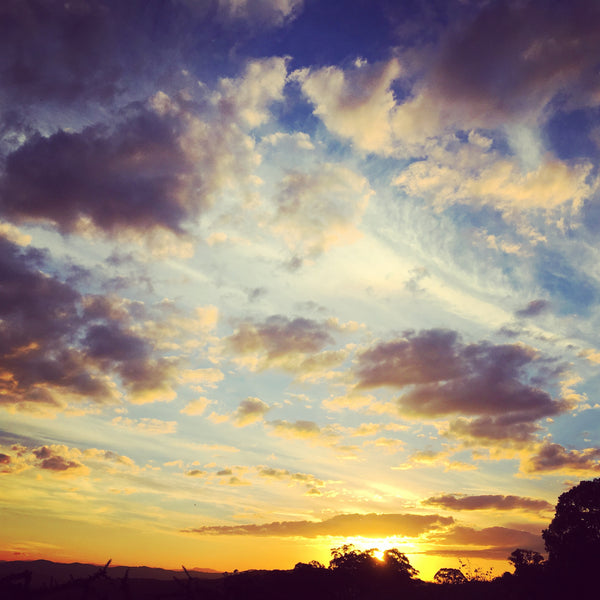 Image of a sunset across a paddock