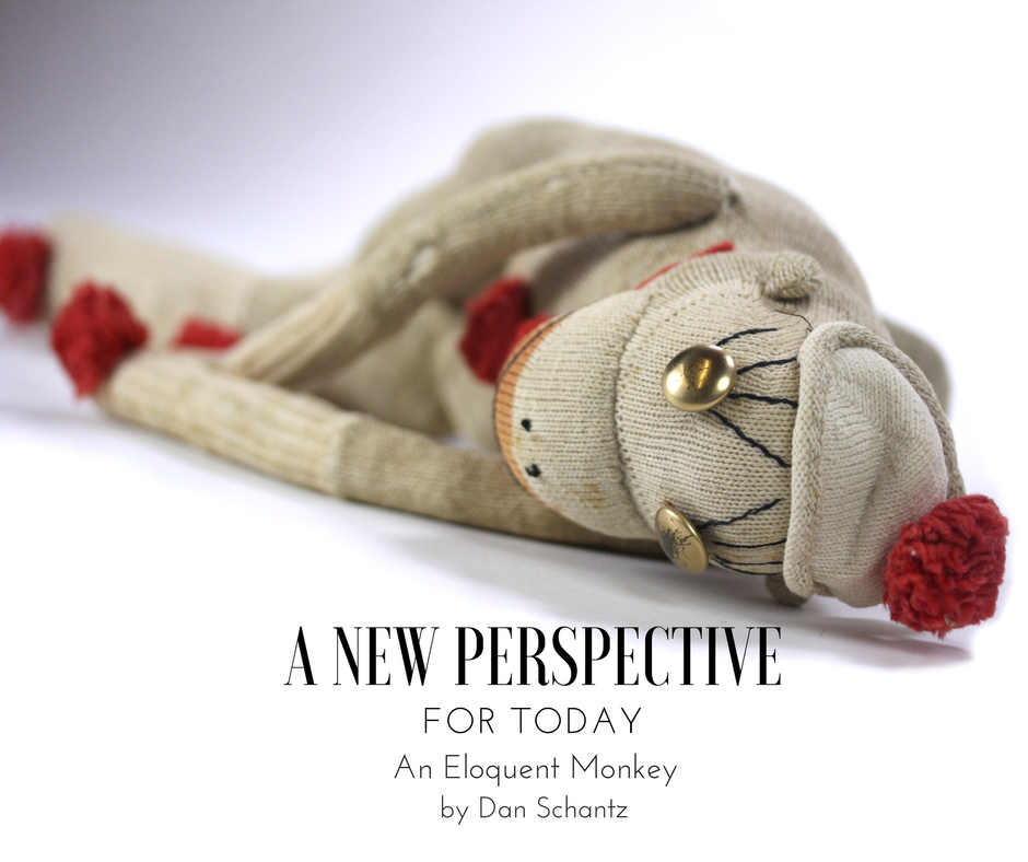A New Perspective for Today: An Eloquent Monkey by Dan Schantz 