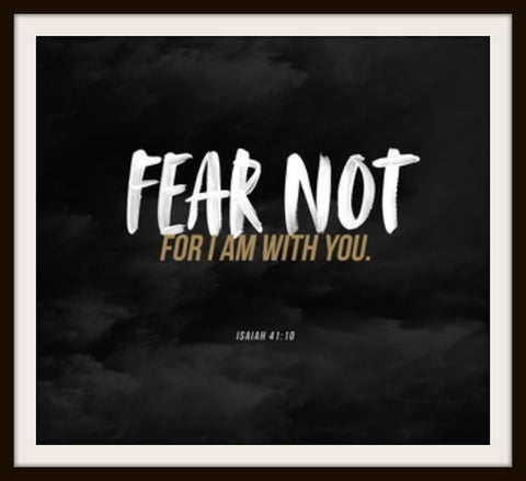 Fear Not - Image Provided by Danae Hollander