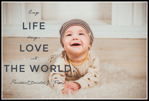 Every Life Brings Love - Image Provided by Victoria_Borodinova via Pixabay - Word Overlay by Louwes Media