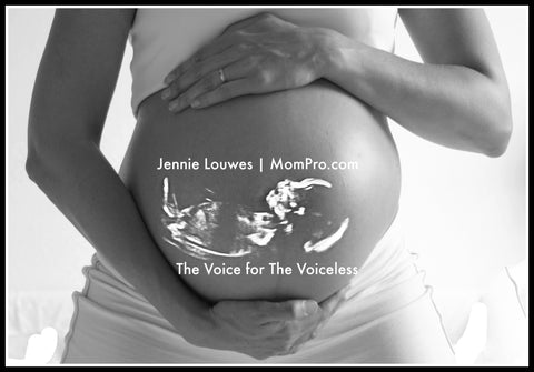 Voice of the Voiceless - Image Provided by Skitterphoto via Pixabay - Word Overlay by Jennie Louwes